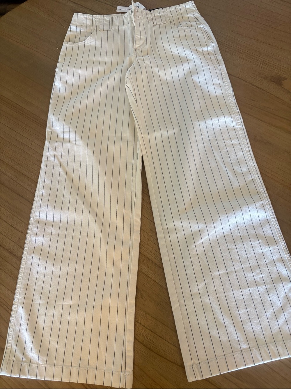 Evereve Sanctuary Wide-Leg Pants Striped Cotton TwillPockets Zip Sz 28 - NWT